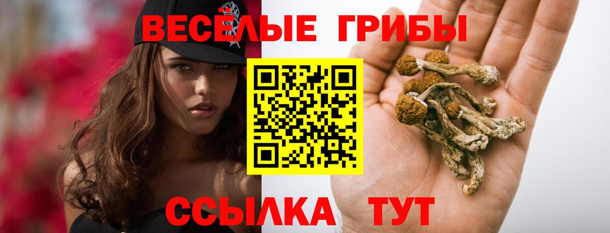 Галлюциногенные грибы GOLDEN TEACHER  Вход с VPN  Псилоцибиновые грибы прущие грибы  Старая Купавна 