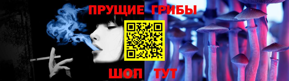 Псилоцибиновые грибы прущие грибы Старая Купавна